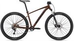 Xe đạp địa hình thể thao Giant Talon 29 1 2022